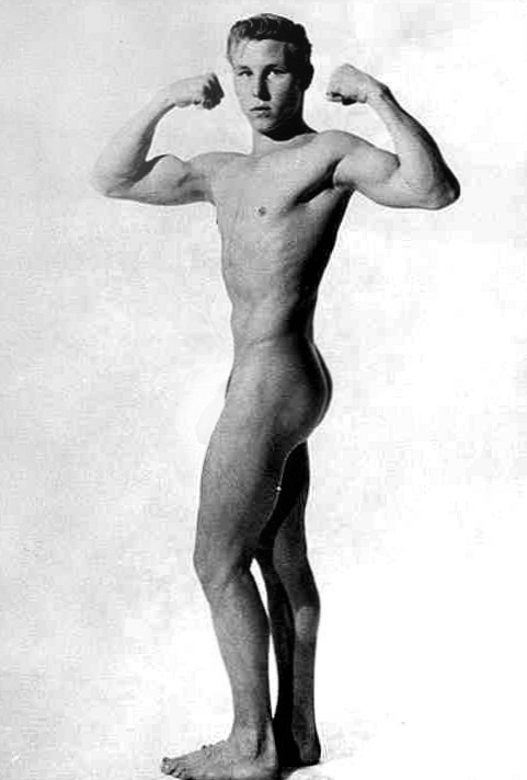 labrador retriever gay tail shemale sexes